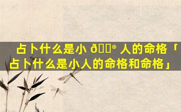 占卜什么是小 💮 人的命格「占卜什么是小人的命格和命格」